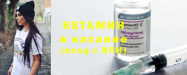 крисы Абаза