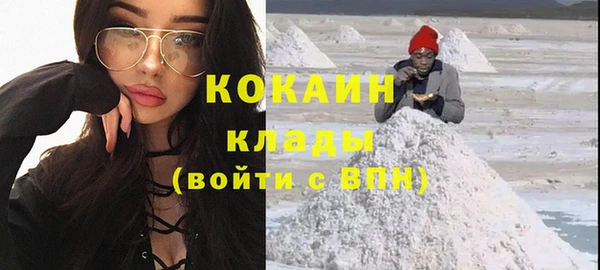 крисы Абаза