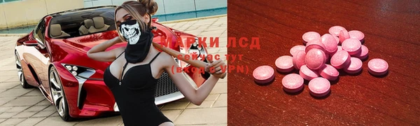 крисы Абаза