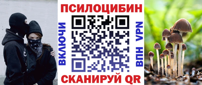 Псилоцибиновые грибы мицелий  omg ссылки  Новопавловск 